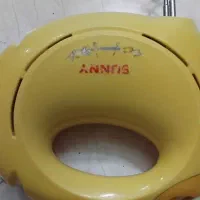 هم زن سانی ژاپن