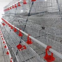 لوازم پرورش مرغ تخم گذار