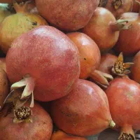 انار تازه آبدار و شیرین|خوردنی و آشامیدنی|قم, سالاریه|دیوار