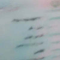 مفقودی مدارک شناسایی