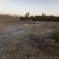 زمین با مساحت ۱۱۸۰ متر در توس ۱۶۵|فروش زمین و ملک کلنگی|مشهد, امین آباد|دیوار