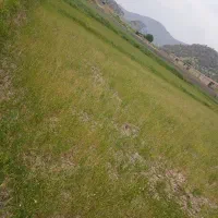 زمین در شهر پاتاوه به فروش میرسد