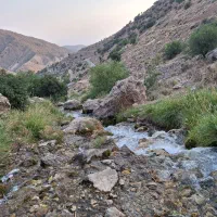 زمین در طرح هادی