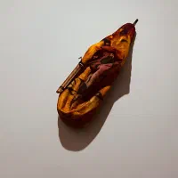 نی انبان حرفه ای