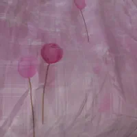 چند عدد پرده و موکت|موکت|نهاوند, |دیوار