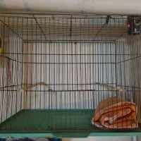 دوعدد قفس پرنده کاملا سالم