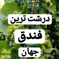 فروش نهال|خدمات باغبانی و درختکاری|امامزاده عبدالله, |دیوار