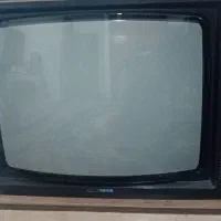 تلوزیون