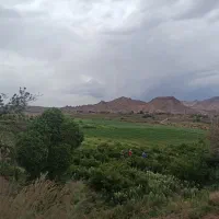 فروش زمین|فروش زمین و ملک کلنگی|بردسیر, |دیوار