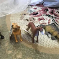 فیگور|کلکسیون و سرگرمی|تهران, وحیدیه|دیوار