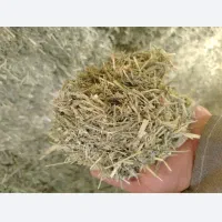 500 کیلو گلا یونجه. برگ یونجه. با یک تن علف درهم