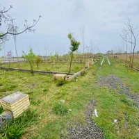 زمین شهرکی و ساحلی اقساط ۳ ساله بدون بهره