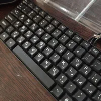 کیبورد (زیر قیمت)|قطعات و لوازم جانبی رایانه|کرج, حصارک بالا|دیوار