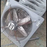 قفس مرغ تخم گذار|فروشگاه و مغازه|قزوین, |دیوار