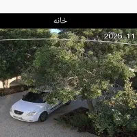 اجاره سوییت و منزل ویلایی حیاط دار با پارکینگ‌مجزا