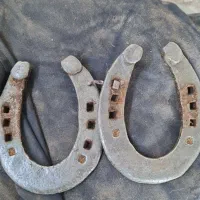 نعل کهنه اسب|اسب و تجهیزات اسبسواری|اصفهان, رسالت|دیوار