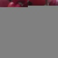گیلدیح تازه و تمیز،
