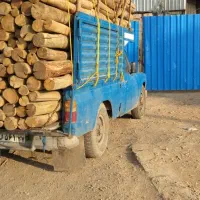 خرید انواع چوب ودرخت کهنه ساختمان وریشه