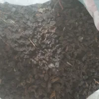 کشمش عسکری بیضایی