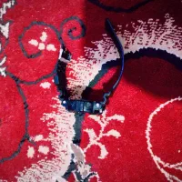 ساعت|ساعت|اهواز, منبع اب|دیوار