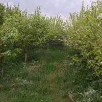 فروش باغ در زین آباد با شرایط ویژه و استثنایی|فروش دفتر صنعتی، کشاورزی، تجاری|تبریز, |دیوار