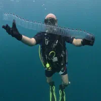 استخدام مسئول دفتر