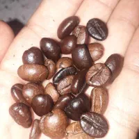دانه قهوه