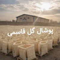 عمده پوشال کولر