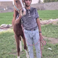 اسمش  صالح  گم شده