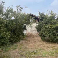 ۷ هزار متر باغ با کنتور برق و چاه با مجوز / آلونک|فروش زمین و ملک کلنگی|کیاکلا, |دیوار