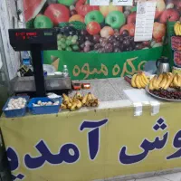 تجهیزات میوه فروشی|فروشگاه و مغازه|نوشهر, |دیوار