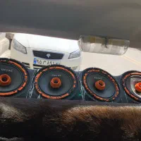 میدرنج تیوتر دار ( فولرنج)