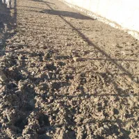 کود حیوانی|لوازم جانبی حیوانات|چناران, |دیوار