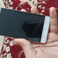 دیوار