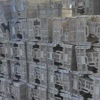 سبد|فروشگاه و مغازه|بناب, |دیوار
