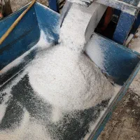 نیروی کار اتباع