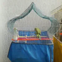 قفس پرنده