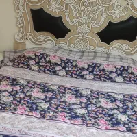 سرویس خواب|تخت و سرویس خواب|شاهین‌شهر, شهرک میلاد|دیوار