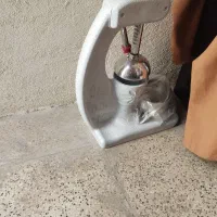 آبمیوه گیری دستی
