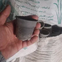 گلدان پلاستیکی سایز ۶