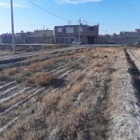 زمین کشاورزی 150 متر واقع در چناران در بعثت