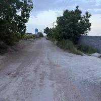 باغچه-چهار-دیواری