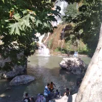 حمل مسافرامروز کوهدشت به تهران فوری.