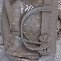 سرویس کالسکه|کالسکه و لوازم جانبی|دامغان, |دیوار