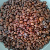 خرما خاصویی و هلیه با کیفیت