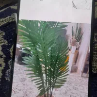 گل حراج|گل مصنوعی|بندرعباس, |دیوار