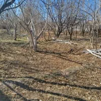 زمین چهار فرزندی