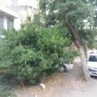 املاک زمین سرا خدابخشی