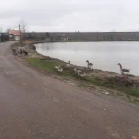 استخر پرورش ماهی بلوارافتخاری سراه خاور