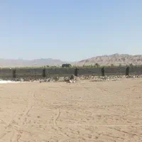 کار بنایی همه کار|خدمات پیشه و مهارت|بیرجند, |دیوار